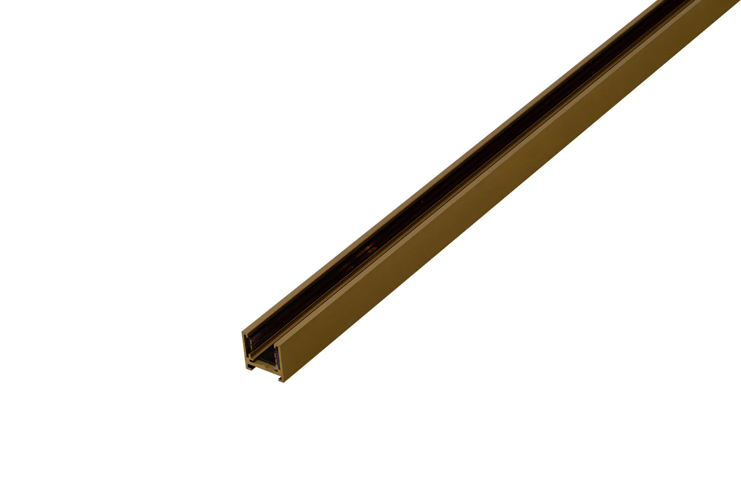 SIGMA TRACK MAGNETIC 1m GO
